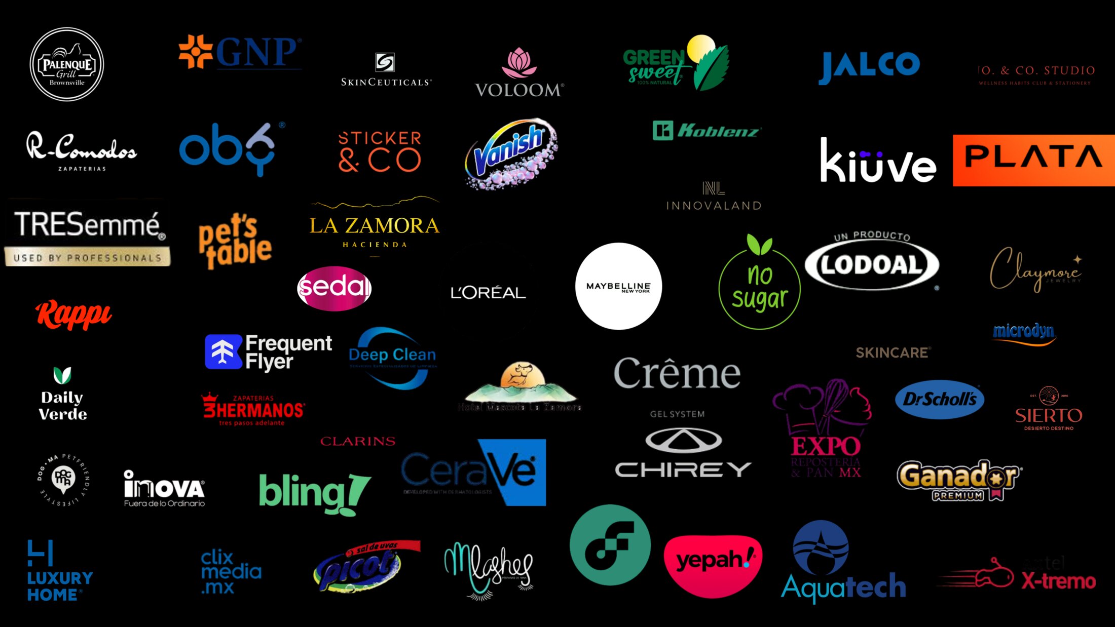 Marcas que confían en Popomomo: L'Oréal, Maybelline, Chirey, JALCO, GNP, TRESemmé, CeraVe y más